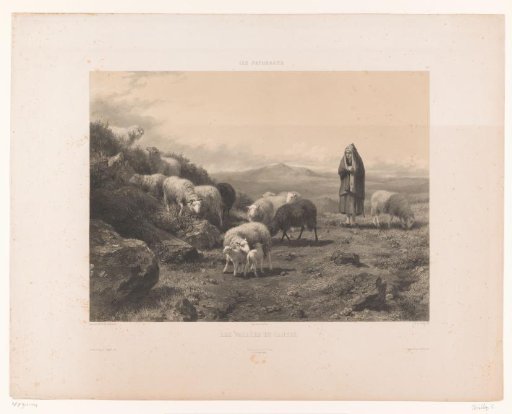 Shepherdess with sheep on the plain of Cantal