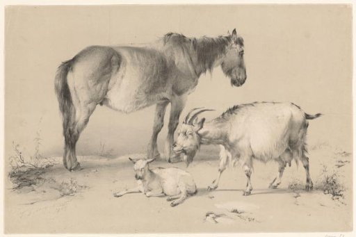 Horse and goat with lamb
