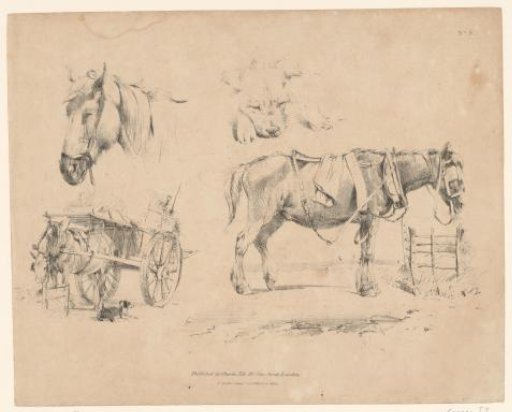 Representations of horses and a dog