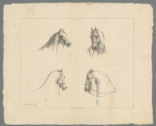 Four horse heads