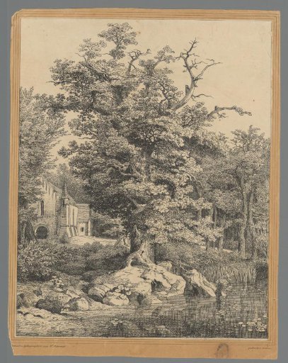 Oak tree by the water