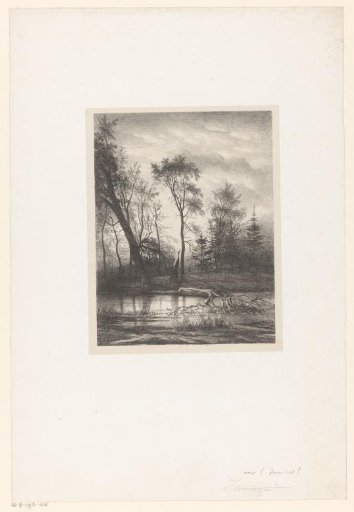 Forest View with a Fallen Tree