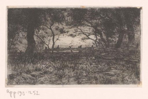 Meadow with Fence and Trees