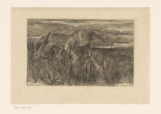 Dead mouse, sandal and figurehead of a ship