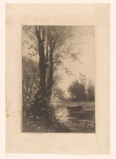 Trees by the water