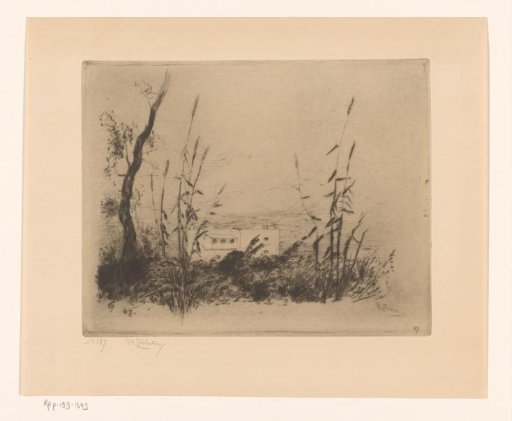 Landscape with an Arab house