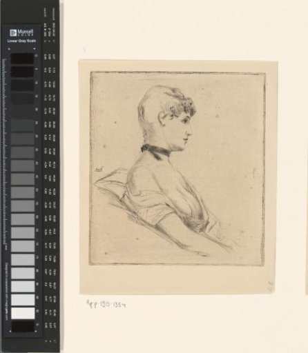 Portrait of a Young Woman