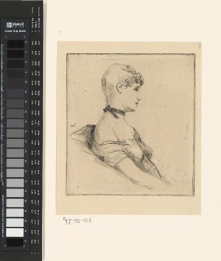 Portrait of a Young Woman