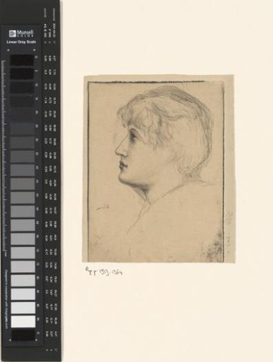 Head of a Young Woman