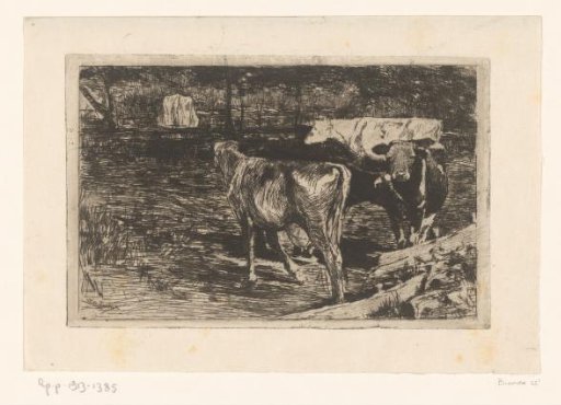 Four Cows in a Meadow