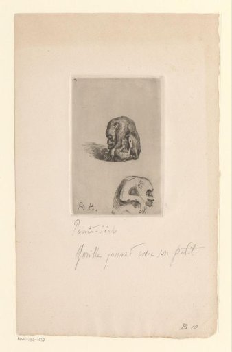 Two views of a netsuke of gorillas