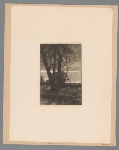 Landscape with trees at evening