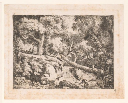Landscape with a tree trunk over a waterfall