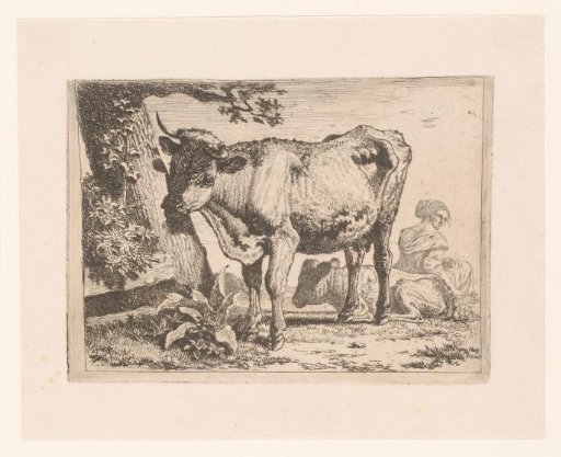 Woman sitting beside a cow and her calf