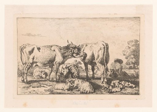 Herd of cattle with two cows licking each other