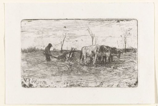 Ploughing Oxen