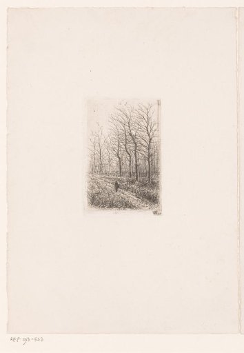 Walker on a forest path