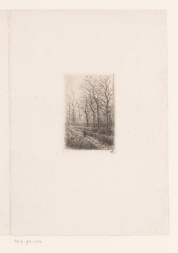 Walker on a forest path