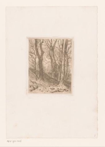 Figure walking on a hill in the forest