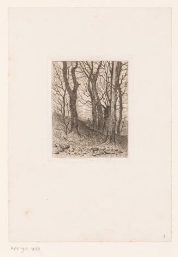 Figure walking on a hill in the forest