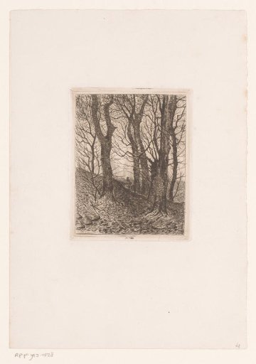 Figure walking on a hill in the forest