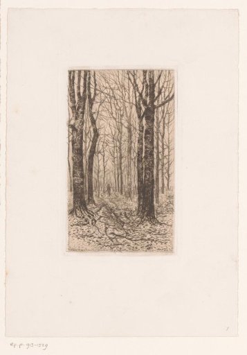 Figure in a forest with tall, bare trees