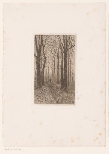 Figure in a forest with tall trees