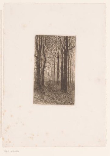 Figure in a forest with tall trees