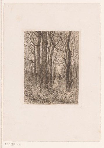 Forest view with figure