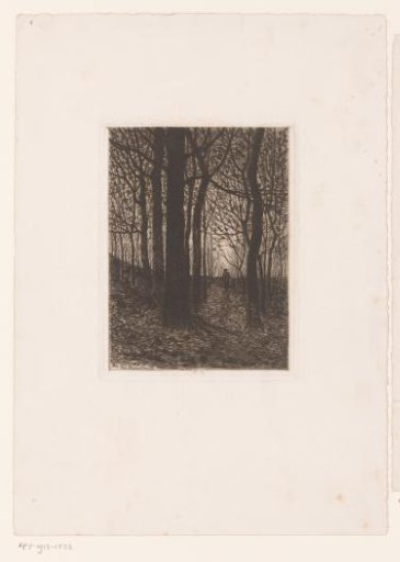 Forest view with figure