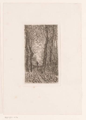 Hilly forest path with figure