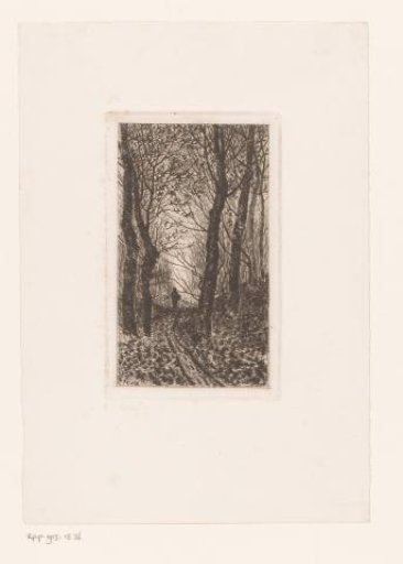 Hilly forest path with figure