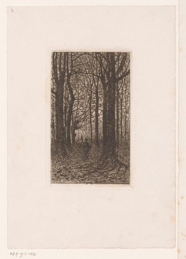 Two figures in a forest with tall trees