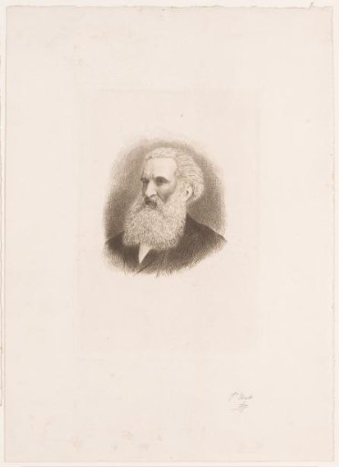 Portrait of an Unknown Man
