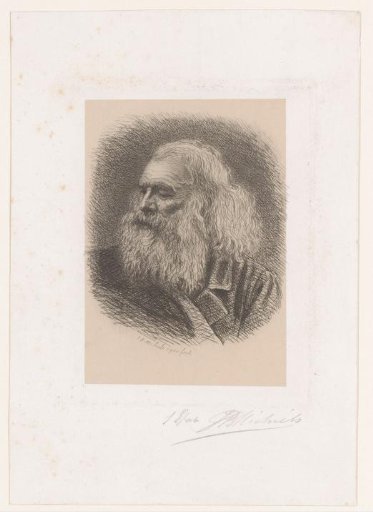 Head of an Old Man
