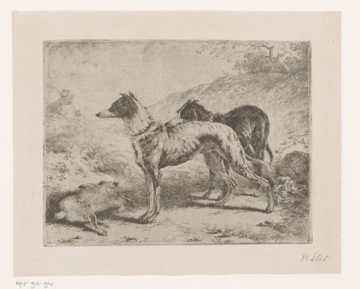 Two greyhounds by a dead hare