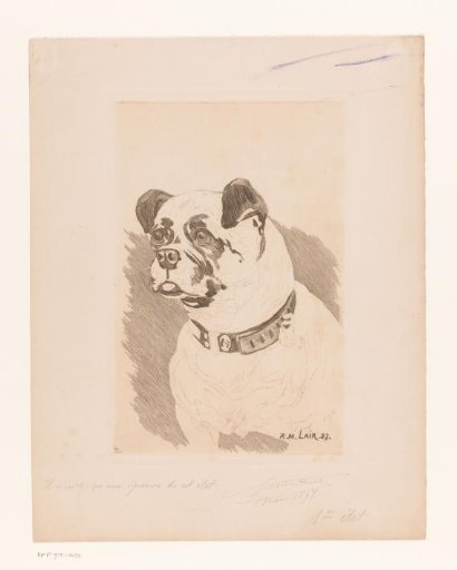 Dog with collar