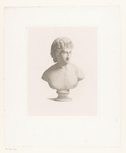 Bust of a young man