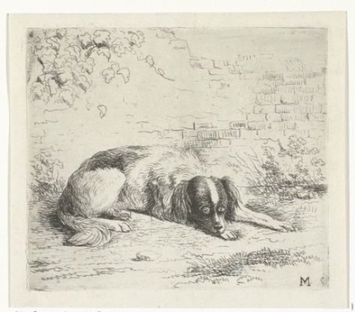 Lying Dog in Front of a Low Wall
