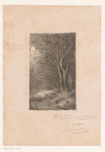 Moonlit landscape near 's-Hertogenbosch