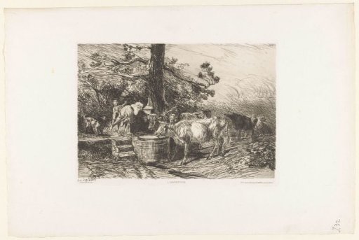 Cattle at a well