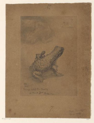 Two views of a bronze inkwell in the shape of a toad