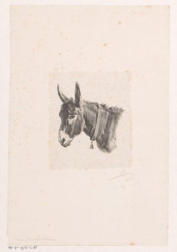 Donkey with a bell around its neck