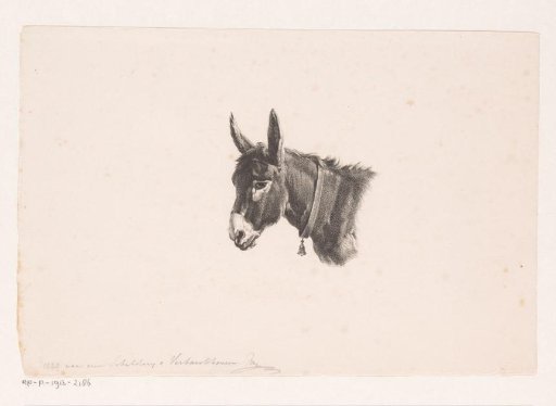Donkey with a bell around its neck