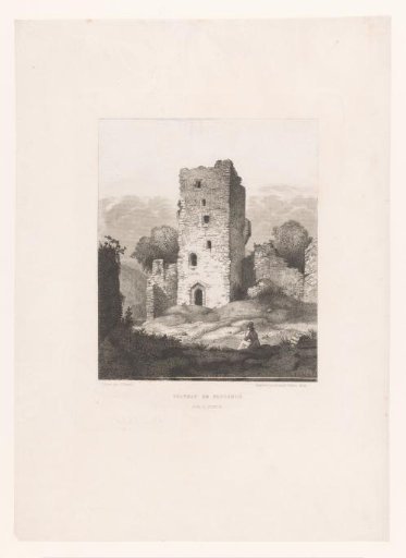 Ruins of Château de Poulseur sur l'Ourte