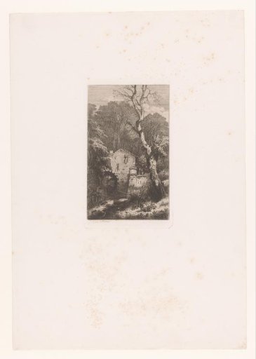Watermill in a forest