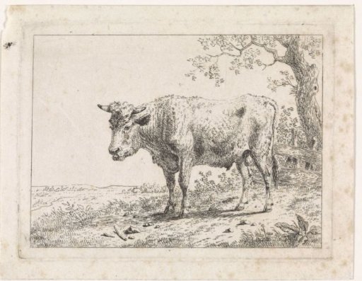 Landscape with a bull