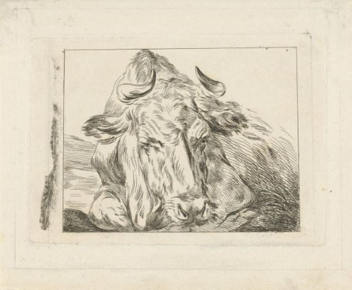Reclining cow