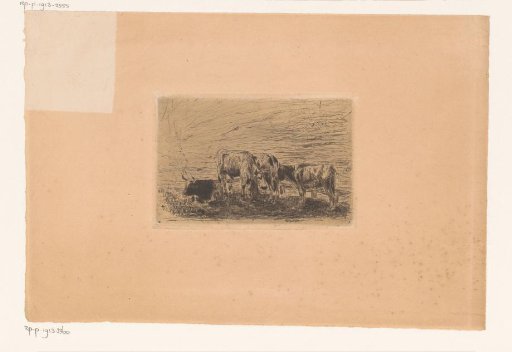 Four Cattle in the Field