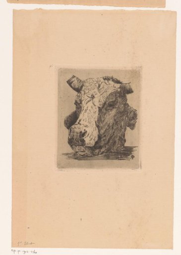 Head of a Cow